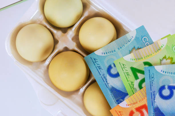 istock Carton of eggs next to a stack Canadian dollar bills illustrates how value everyday expenses has increased since price chicken eggs has risen 2194404268