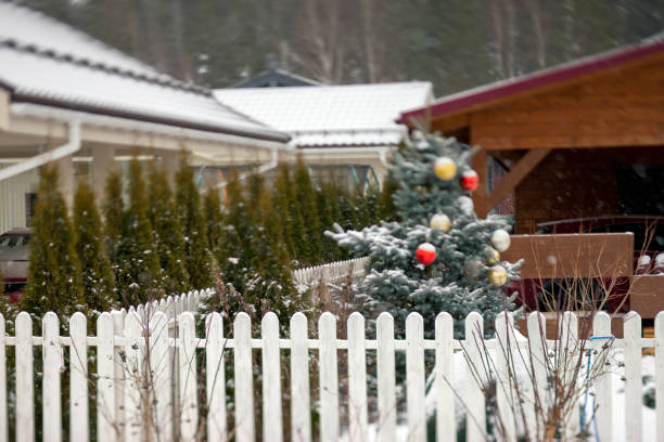 christmas tree decorated outside the house, concept of neighborhood