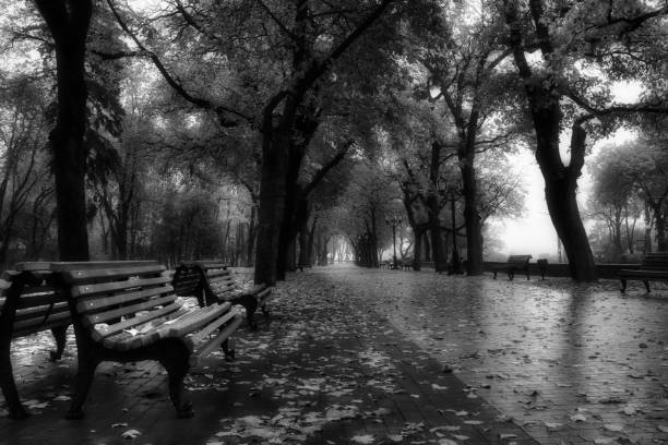 Dark horror atmosphere, black metal forest