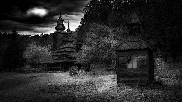 istock rural landscape in black and white 2194404567