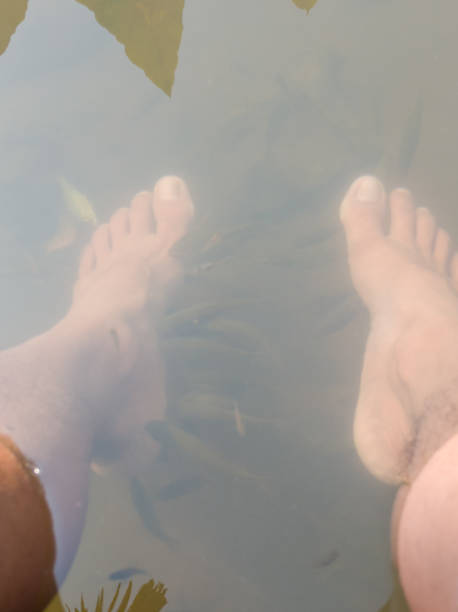 istock Bare feet gently rest on a school of fish 2194405075