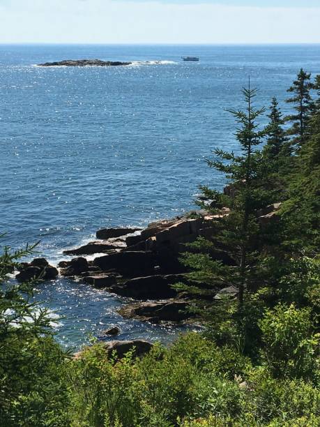 istock Maine Rocky Coastline Cliff 2194411151