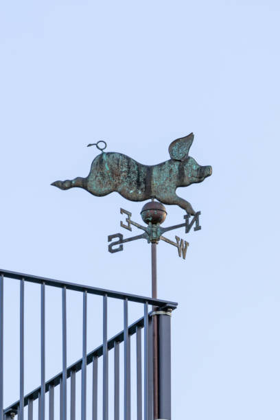istock A pig is on a weather vane that is pointing to the west 2194414088