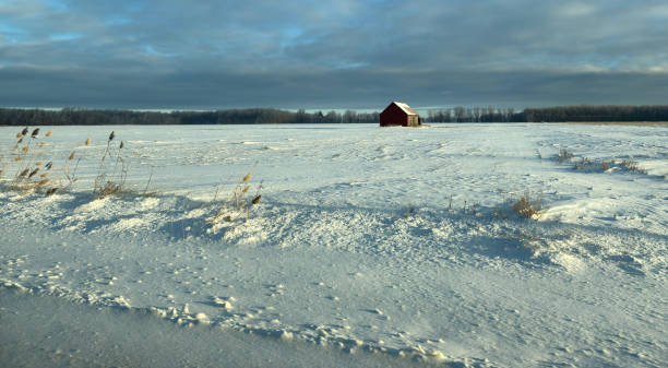 istock A beautiful brightness on a January morning. 2194415118