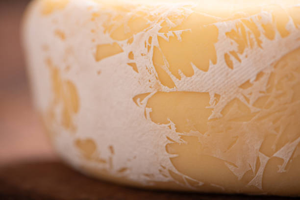 Cheese with mold, A delicious cheese from Brazil with white mold, selective focus.