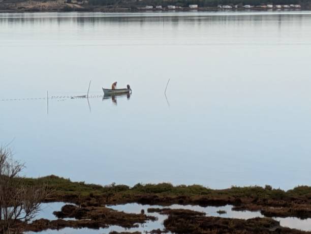 istock An oyster farmer on the Bages pond 2194422643