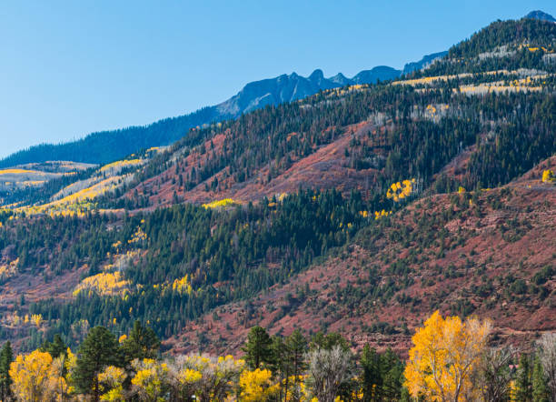 istock Fall Color on South Baldy Mountain, Gunnison National Forest 2194422744