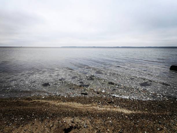 The Baltic Sea coastline displays rugged cliffs, gentle waves, and windswept grasses, creating a serene, untouched beauty.