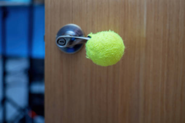 Fluffy tennis ball on green and soft balloon surface.