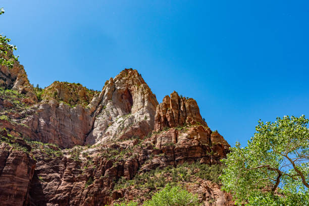 Zion National Park view, Utah, USA.