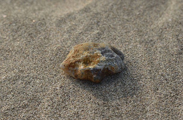 istock A polished rock resting on a textured sandy surface. Close-up of a smooth stone with natural patterns on sand. 2194428165