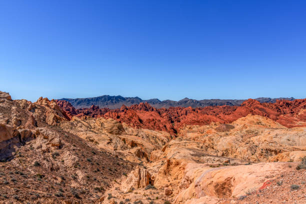 Nevada, USA.
