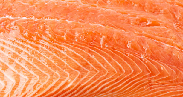 istock Fresh Salmon Fillet Texture Background, Raw Norwegian Red Fish Pattern, Trout Meat Piece 2194429511