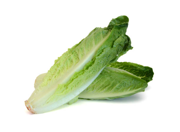 istock Bunch of fresh green salad isolated over white 2194435123
