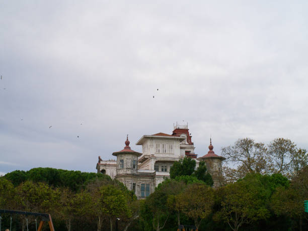 istock Historic Villa Amid Trees Under Cloudy Skies and Flying Birds 2194435185
