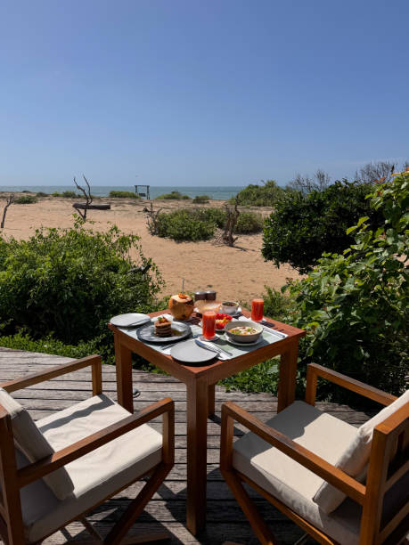 Outdoor breakfast table with fruit and omelette dishes, juices and pastry at Sri Lanka safari lodge hotel terrace in Yala National Park on sunny day