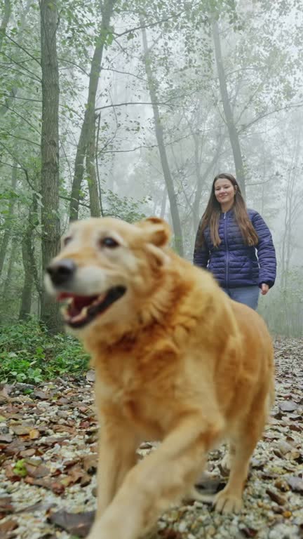 Happy Young Woman Watching Golden Retriever Dog Running on Forest Trail in Foggy Weather
