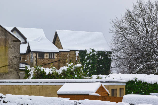 Snow-covered brick buildings and a shed, partially obscured by snow-laden shrubs and a leafless tree, under an overcast sky.  A wall separates the foreground from the buildings in Harrogate, UK.