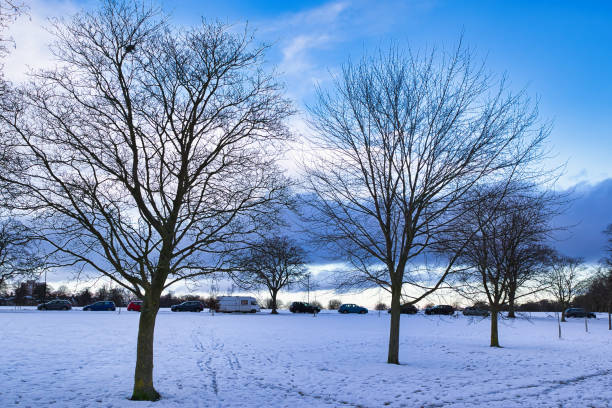 Snow-covered field with bare deciduous trees and parked vehicles under a partly cloudy blue sky.  Several cars and a campervan are visible. Footprints are in the snow in Harrogate, UK.
