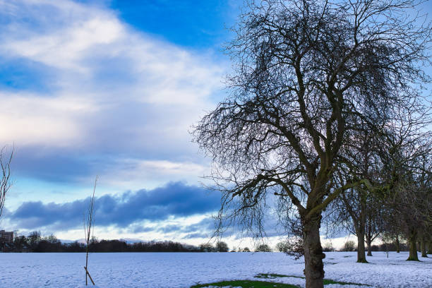 istock Winter Landscape with Bare Deciduous Trees and Snow-Covered Field in Harrogate, UK. 2194442344