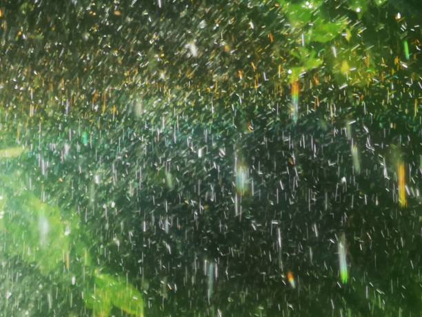 A rainbow appearing within water droplets from a sprinkler South Wales UK