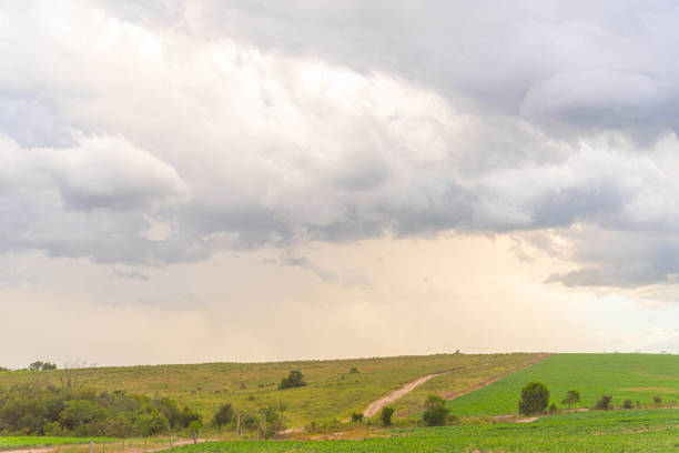 Rain clouds and cumulonimbus clouds over the pampa biome.