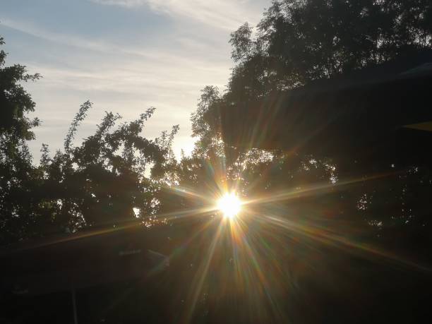 istock The sun shining through the trees star pattern South Wales UK 2194449907