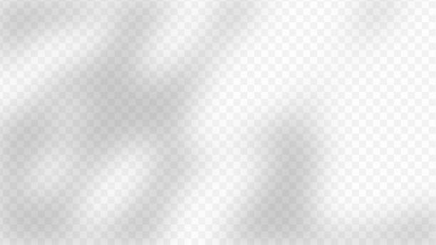 stockillustraties, clipart, cartoons en iconen met tree and leaf shadow with transparent background. shadow overlay effect mockup for design template. - slagschaduw