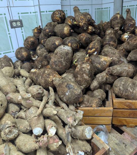 istock Harvested Dasheen and Cassava 2194459308