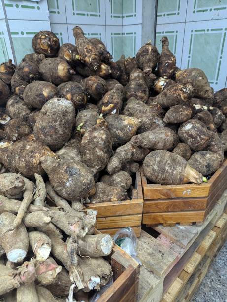 istock Harvested Dasheen and Cassava 2194459327