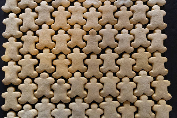 Studio flat lay view looking down on small gingerbread men shaped cookies in rows next to each other in a repeating pattern.