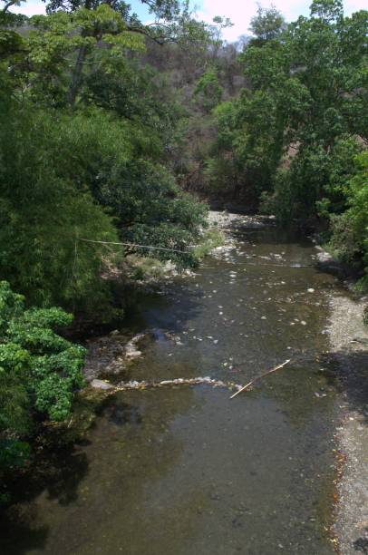 istock Nature in the state of Miranda. 2194463020