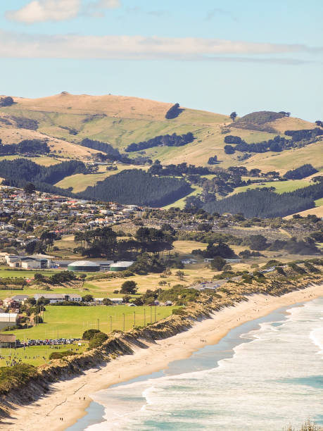 istock Seaside and Pacific Ocean, Dunedin, New Zealand 2194466028