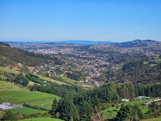 istock Overlooking Dunedin, New Zealand 2194466029