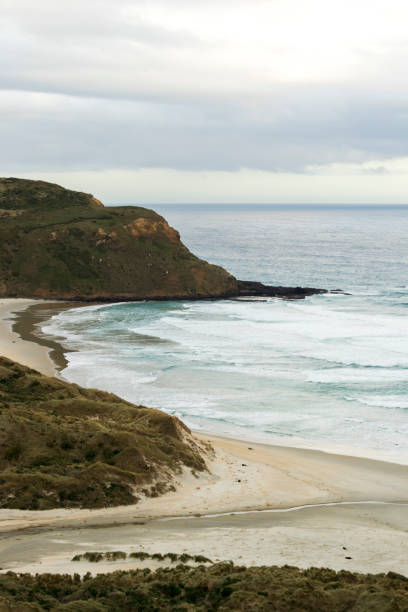 istock Seaside and Pacific Ocean, Dunedin, New Zealand 2194466095