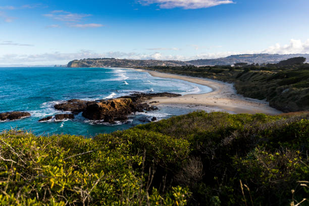 istock Seaside and Pacific Ocean, Dunedin, New Zealand 2194466178