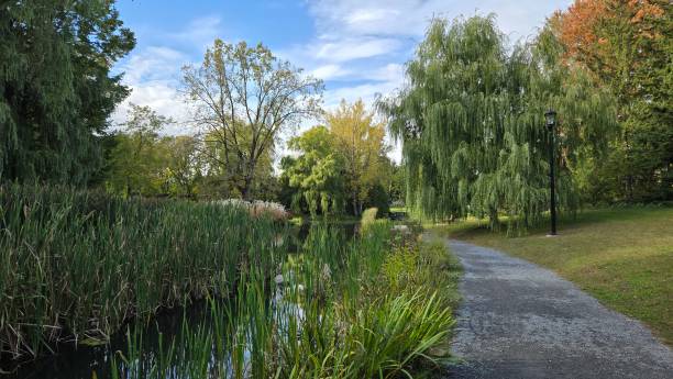 istock Nature Center Trail - Horizintal 2194468076