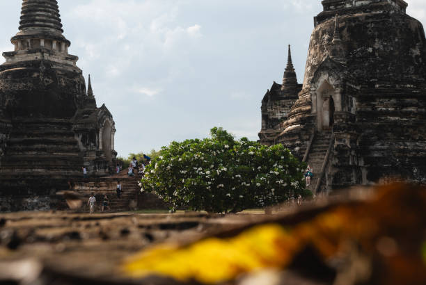 Ayutthaya, Thailand - August 18, 2007: People visit Wat Phra Si Sanphet, one of the most iconic temples of Ayutthaya. The city, founded in 1350, was the second capital of the Siamese Kingdom and flourished from the 14th to the 18th centuries.