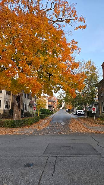 istock Autumn style on Ormond Street - Close Up - Vertical 2194468276