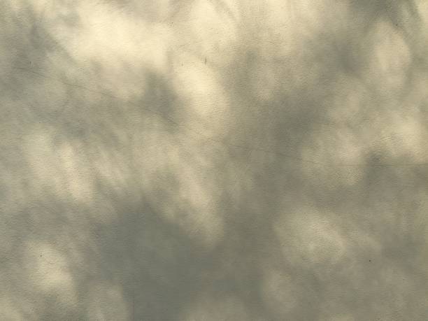 istock Leaves shadow background on concrete wall texture, leaves tree branches shade with sunlight 2194471380