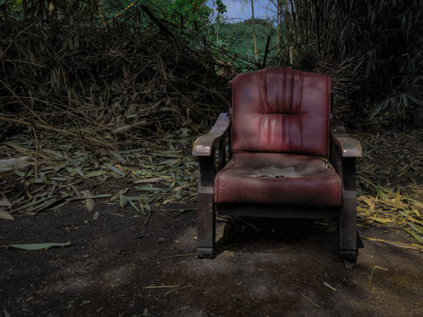A red leather armchair placed in quiet open space. Armchair already shows signs of wear and tear surrounded by dry leaves and set amidst lush backdrop of bamboo and green trees. Sunlight casts warm glow on the chair, creating sense of calm and serenity.