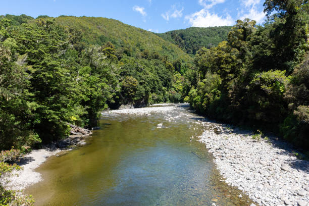 River at Kaitoke, New Zealand