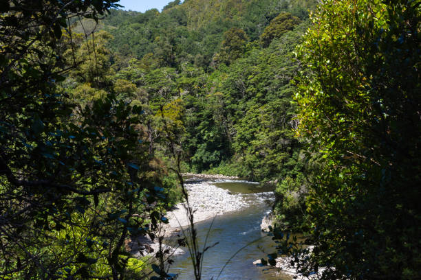 istock River at Kaitoke, New Zealand 2194473239