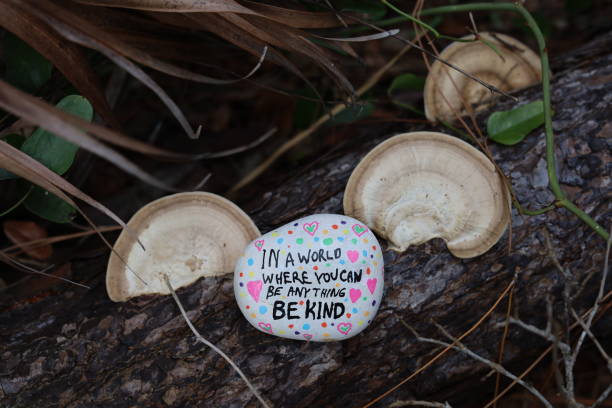 istock kindness rock and shelf fungus on log 2194475061