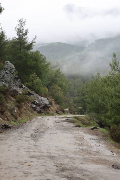 istock Road in winter in the mountains 2194481248