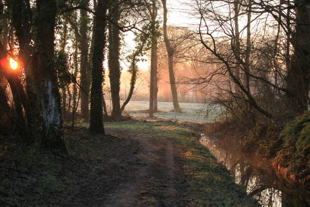 istock Little rural road in the morning light edgeted by a ditch 2194485020