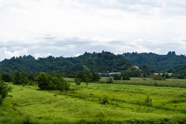 Rural summer landscape in Georgia