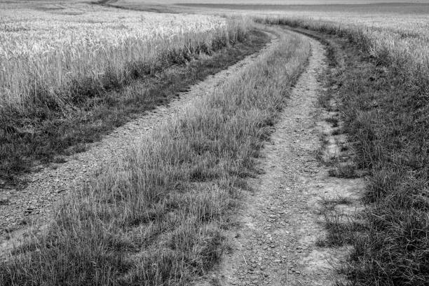 istock Dirt road in the country black and white 2194487131