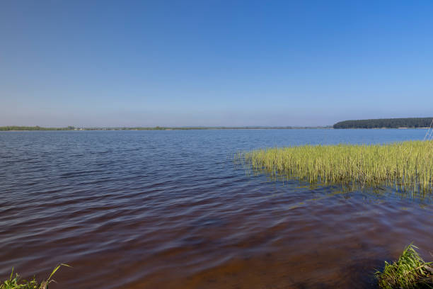 istock The blue water in the lake reflects the blue sky in spring 2194487768