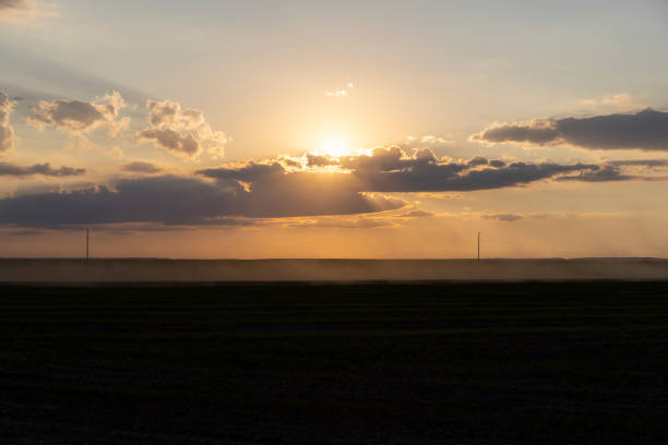 A rural field with green grass and other vegetation at sunset, a beautiful fog in the distance of the field during sunset with an orange sky